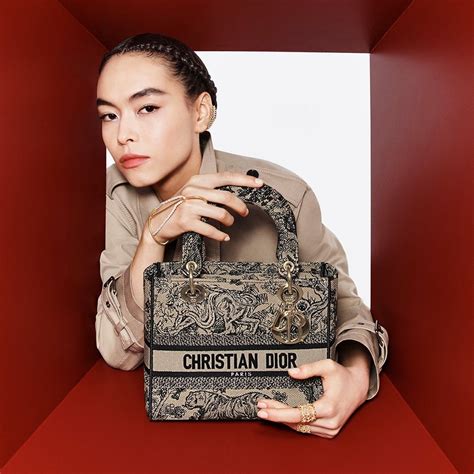 christian dior miss dior bag price|Christian Dior bag price guide.